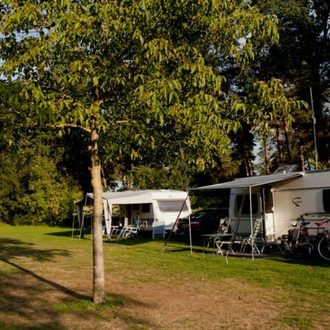 camping Achterhoek